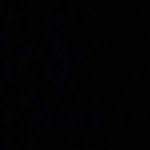 Meet your Posher, Marcus